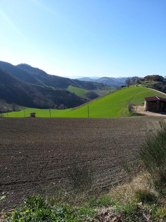 Girfalco Country House Bed & Breakfast Urbino Exterior photo